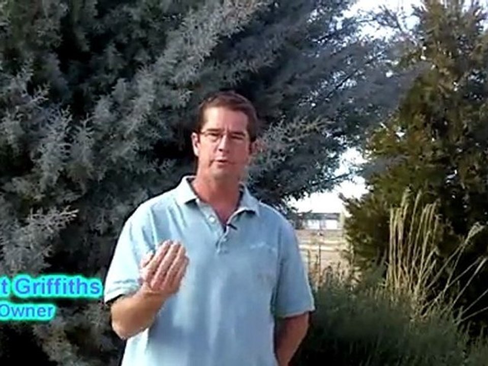 Landscaping Companies in Prescott, Landscapers, Lawn care