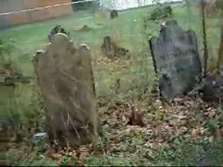 Apocoliptic Zombies are Real!!!