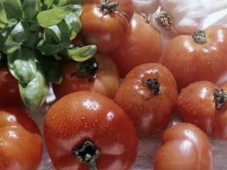 Feierlichkeiten Bis 60 Personen Maikammer Ristorante ...