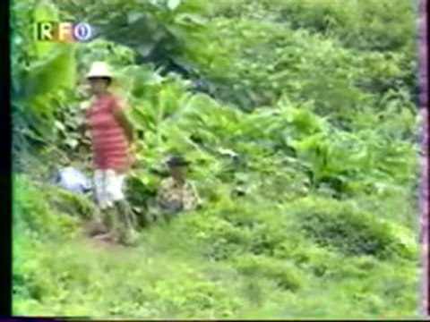 vieux ragga 974 + aim a nou sega un amant