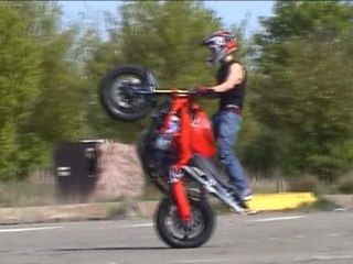 Spot Paradise 04-2011