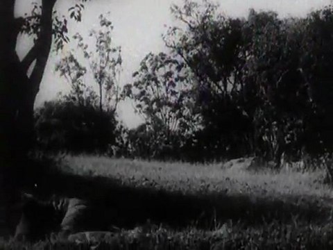 Dil Tera Deewana - Part 12/18 Classic Bollywood Movie - Mahmood, Mala Sinha, Shammi Kapoor