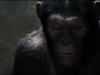 Rise of the planet of the apes