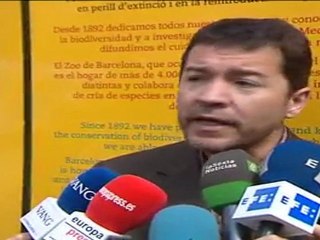 Dos lobas escapan del perímetro de seguridad en el zoo de Barcelona