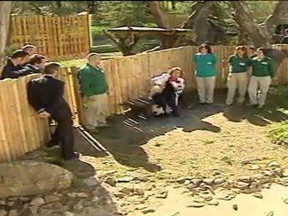 Po y De De, primeros pasos al aire libre