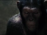 Rise of the Planet of the Apes Movie Clip