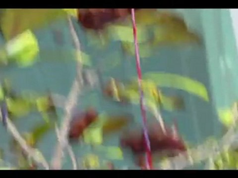 publicité spot 3D, CEMOI PETIT OURSON 3D, agence TVLowCost