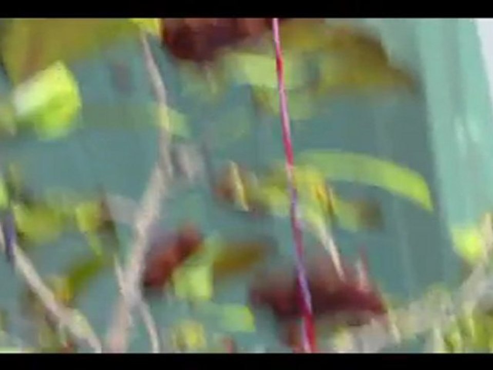 publicité spot 3D, CEMOI PETIT OURSON 3D, agence TVLowCost