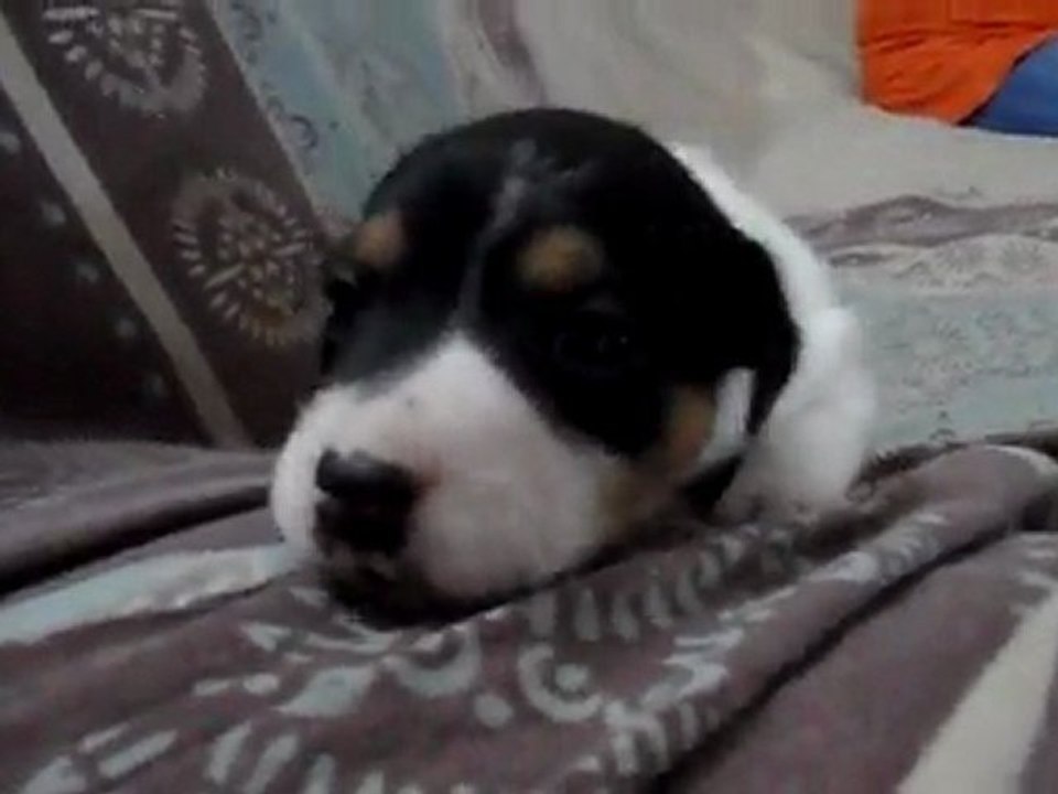 SAM_0357