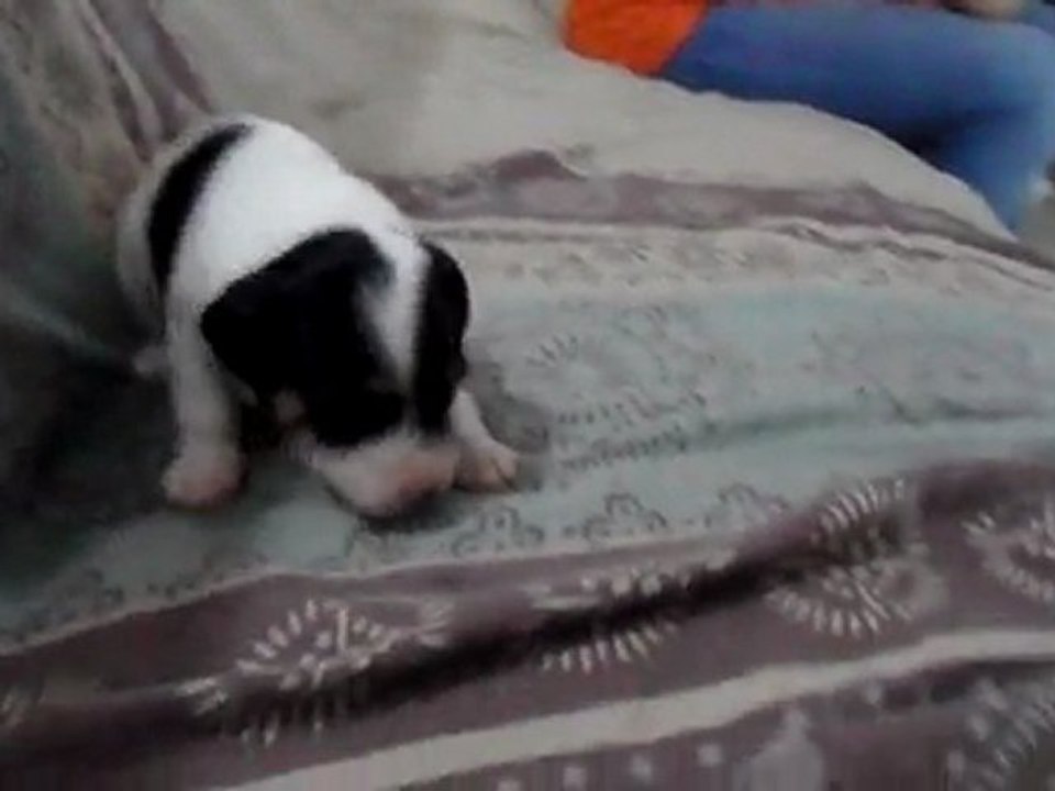 SAM_0366