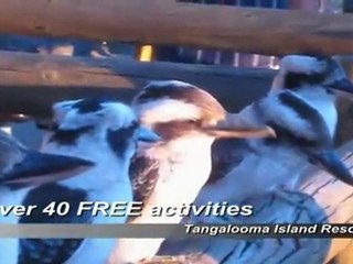 Tangalooma - Queensland Island Holidays