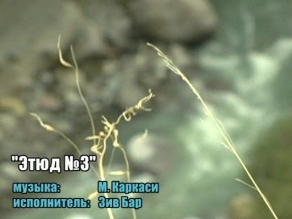 М. Каркаси. "Этюд  №3"