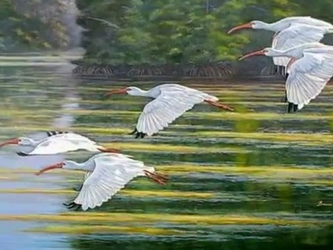 URFALI ZEYNO ARAPÇA