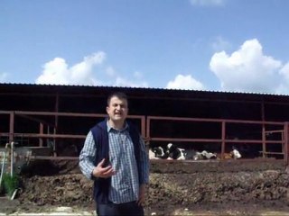 Üreticiden tüketiciye etin meşakkatli yolculuğu