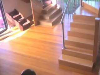 Staircase Bayswater Tarosa Stairs P/L VIC