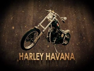 Harley Havana Harley 1