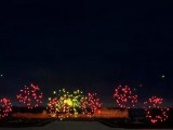 La Gabbia Pyromusical Fireworks