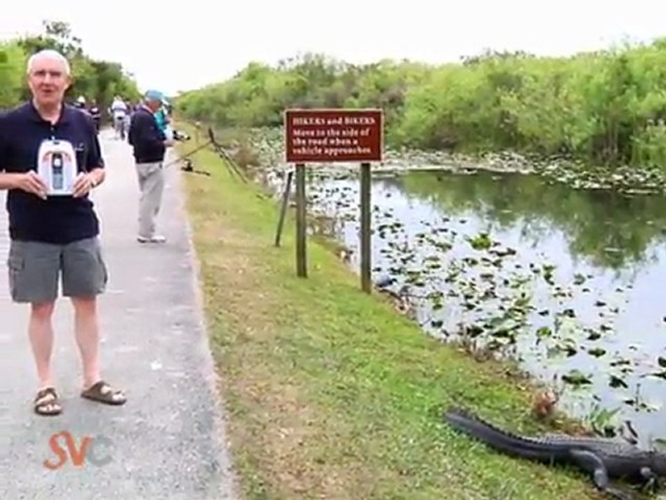 SVC A cell phone for seniors available from Tracfone