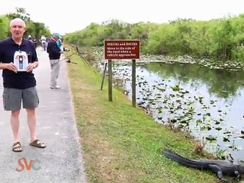 SVC A cell phone for seniors available from Tracfone