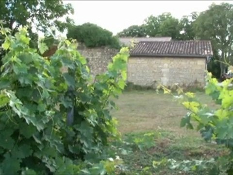 Rendez-vous Rive Droite, Episode 3 - Le parc Beauval