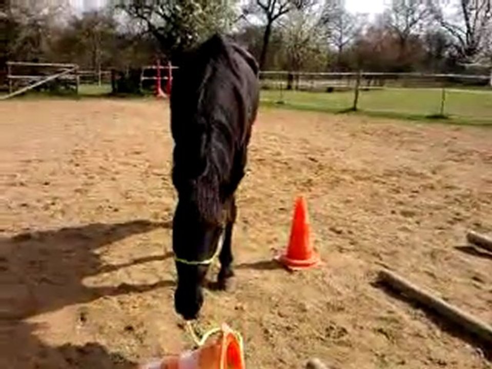 Vidéo0058