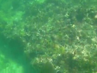 Anse du Souffleur Janvier 2011