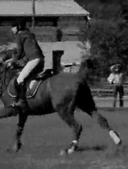 Sous le pas d'un sabot on peut ressentir la puissance, Le Suspence !