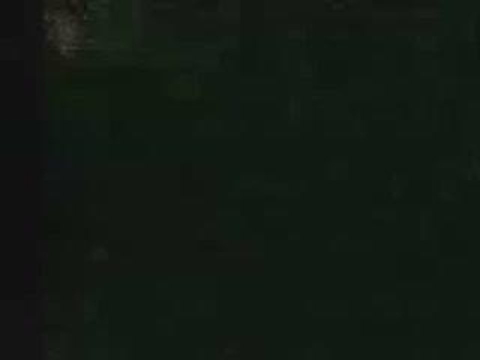 deo\video-0005