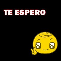 Pilar Gamboa - Presentacion del Blog Oficial - 2