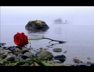 Ismail Gökkan mevlana isyan etmişim