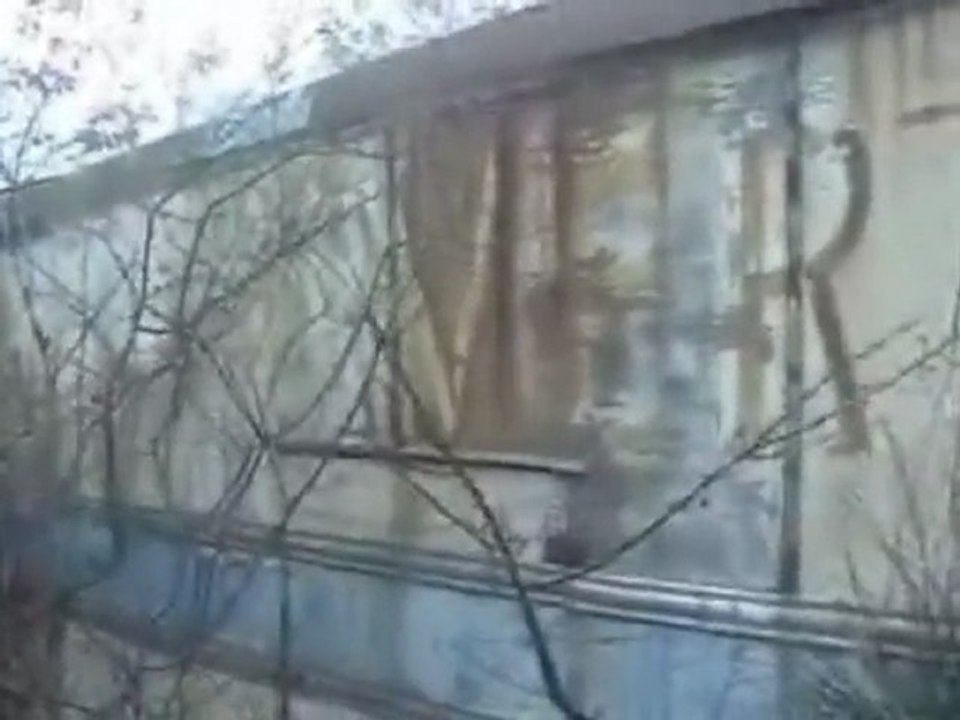 1x04 - Ballade en forêt