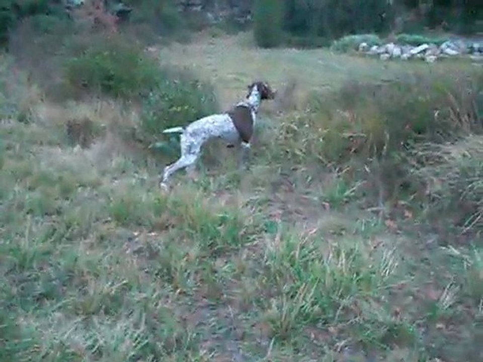 cirka aux lapins 001