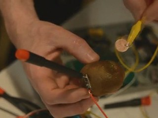 Kiwi Bending @ Centre Pompidou