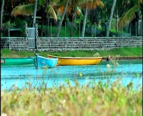 Stance Kiteboarding ATTITUDE-The Tiger-Vincent Tiger