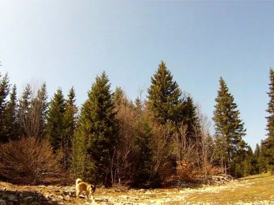 2011-04-16 - >Forêt Revard (Crolles) - 1