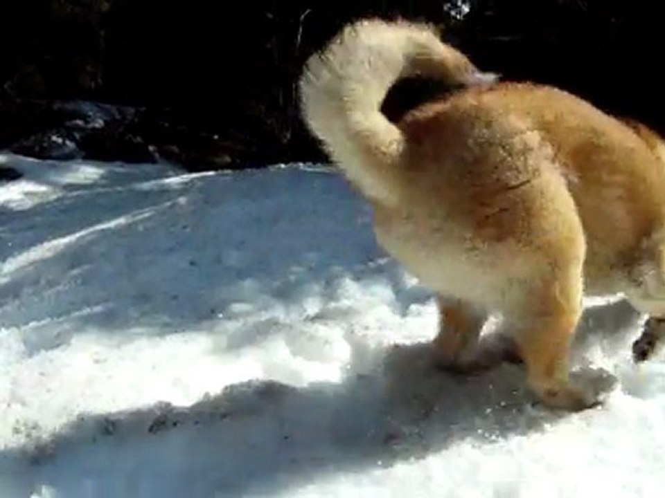 2011-04-16 - >Forêt Revard (Crolles) - 4