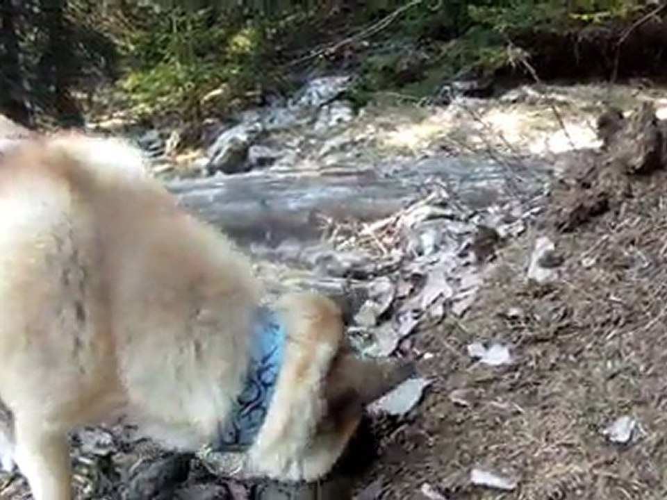 2011-04-16 - >Forêt Revard (Crolles) - 5