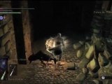 Guide Demon's Souls HD FR 023