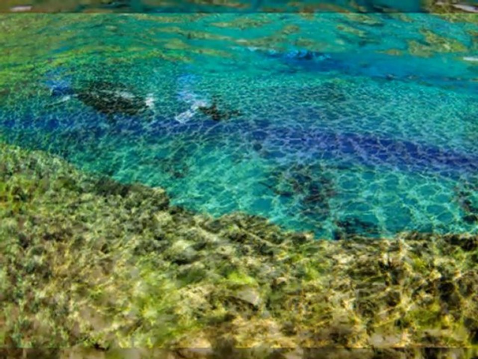 Islandreisen Tipps #3 Schnorcheln in Silfra