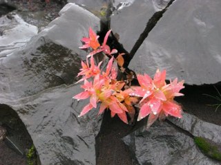 Islandreise Tipp #7: Entdecke die faszinierende Mælifellssandur Wüstenregion 🏜️