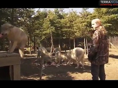 Les Petits Princes Du Monde Sauvage / Little Princes: Meet My Wild Friend