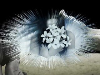 Anadan Ayrı - Kamuran AKKOR