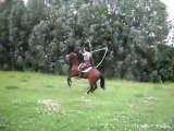 Un cheval fait de la corde à sauter