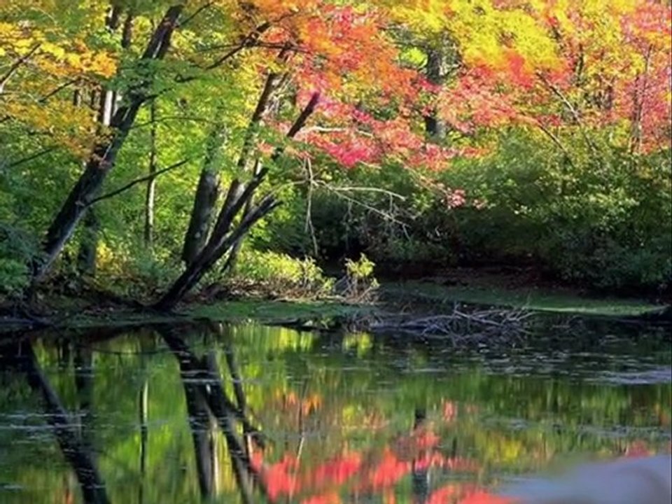 Abdulbaki Kömür - Gökkuşağı (Remix)