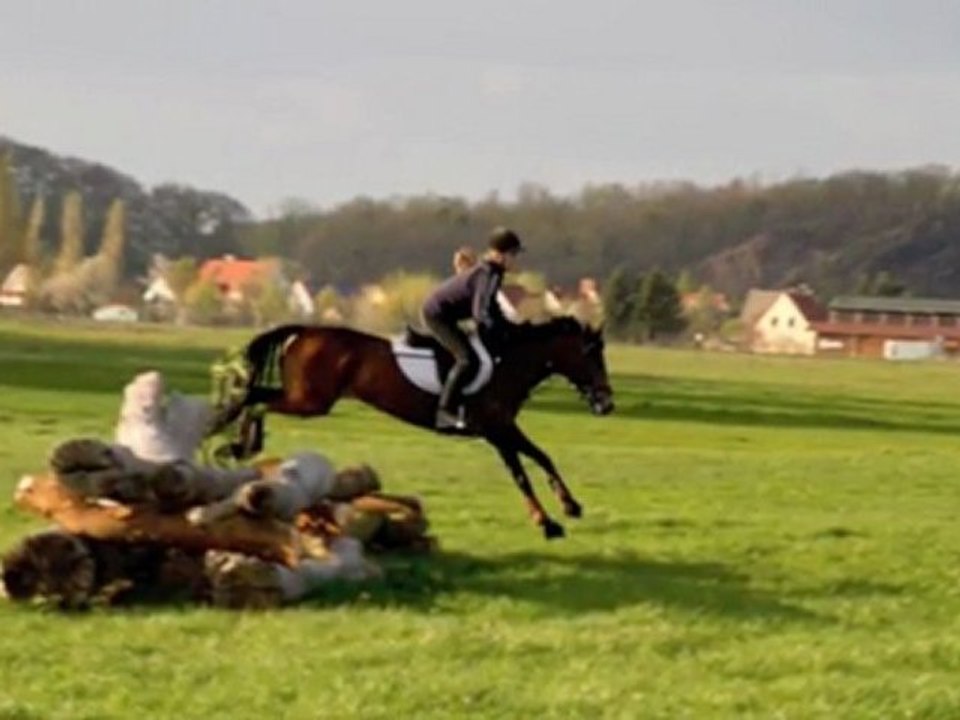 Offroad Horse Ride