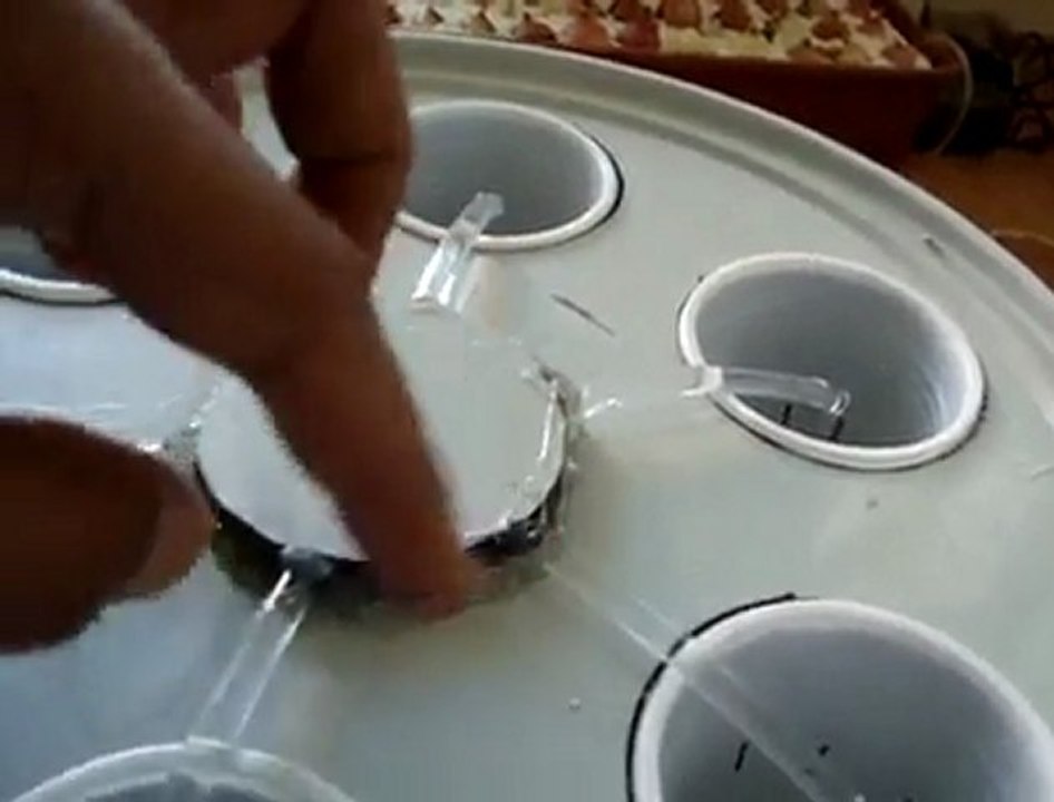 Basit malzemelerle hazırlamış olduğum, otomatik sulama yapan topraksız tarım düzeneği