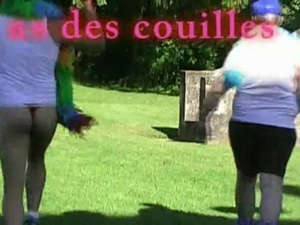 T'as des couilles (parodie de Daddy Cool de Boney M)