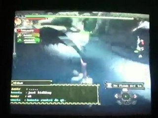 [MH3] Desert Island Secret Area Glitch