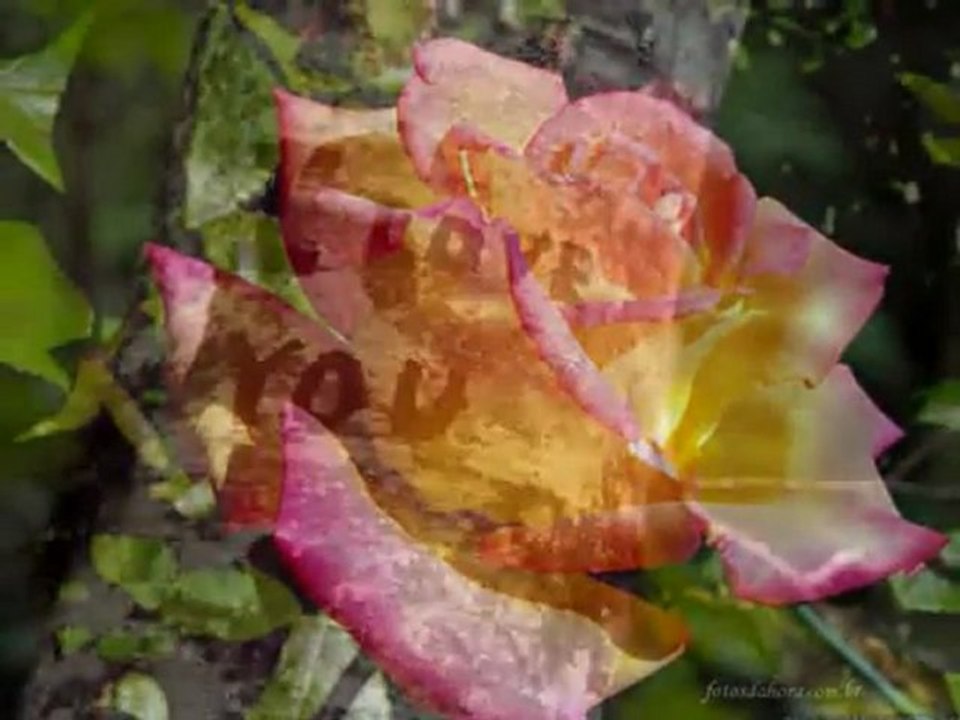 Leann Rimes - The Rose