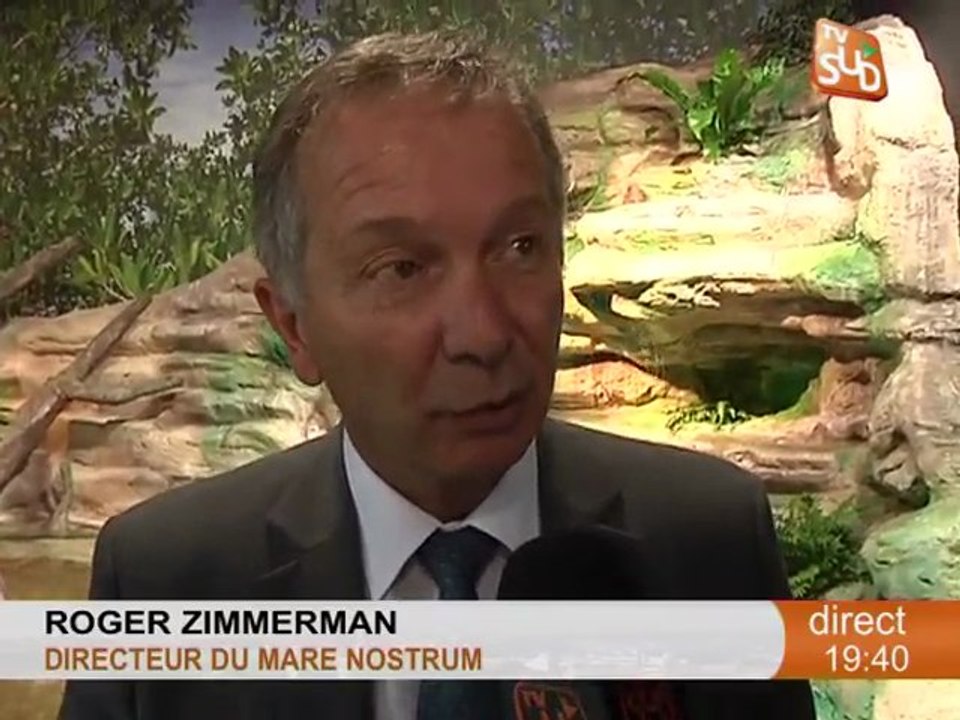 L'aquarium Mare Nostrum fait peau neuve! (Montpellier)